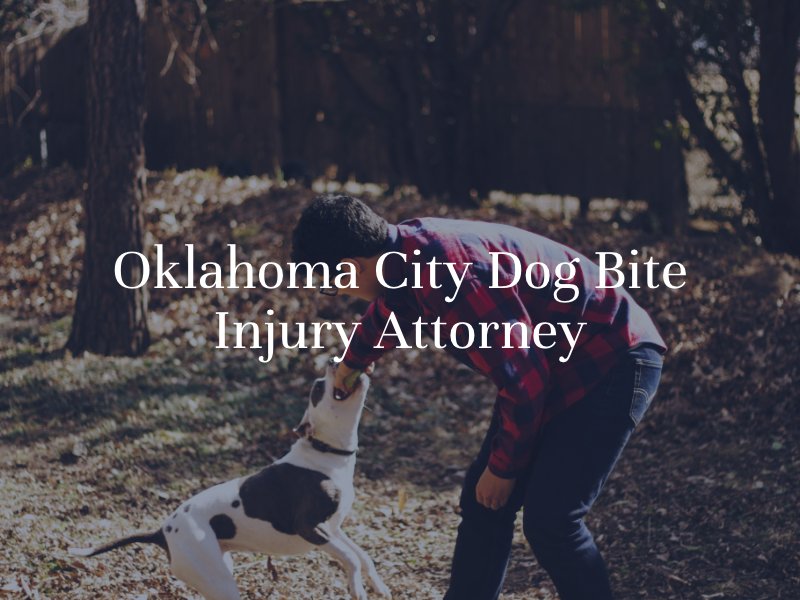 Oklahoma City dog bite injury lawyer 
