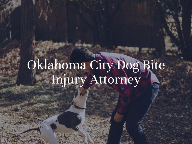 Oklahoma City Dog Bite Attorney