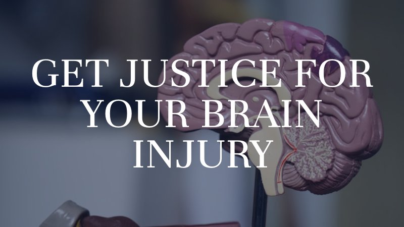 anatomical model of brain with caption: get justice for your brain injury