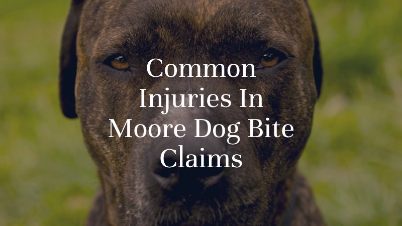 Common Injuries In Moore Dog Bite Claims