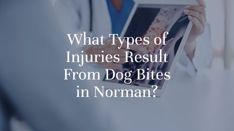 What Types of Injuries Result From Dog Bites in Norman?