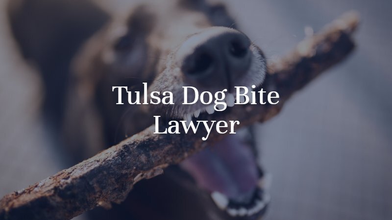 Tulsa Dog Bite Lawyer