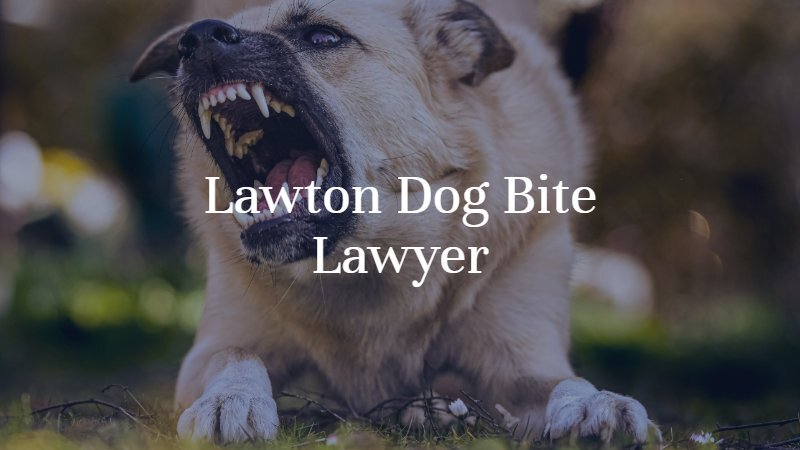 Lawton Dog Bite Lawyer | Dan Davis Law