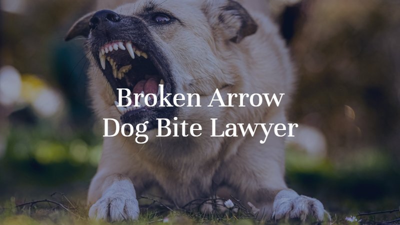 Broken Arrow Dog Bite Lawyer | Dan Davis Law