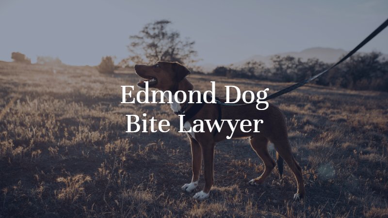 Edmond Dog Bite Lawyer