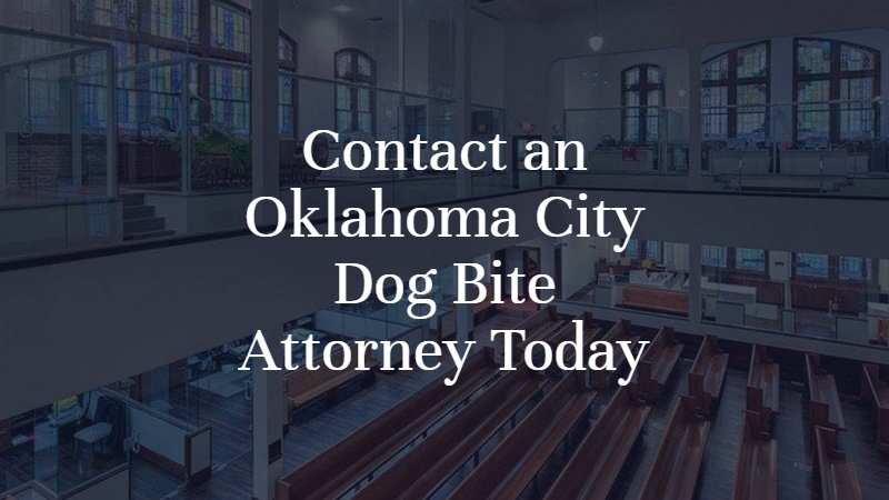 Contact an Oklahoma City Dog Bite Attorney Today | Dan Davis Law